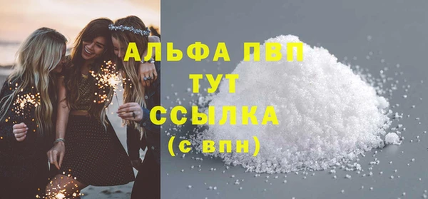 гидра Новозыбков