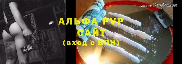 гидра Новозыбков