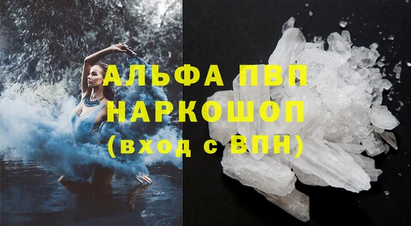 гидра Новозыбков