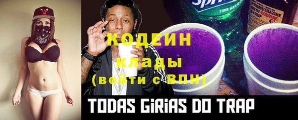 гидра Новозыбков