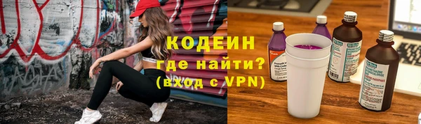 гидра Новозыбков
