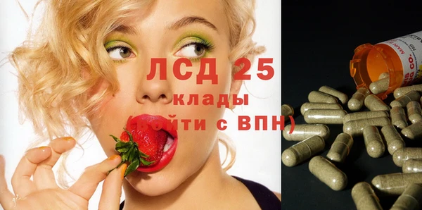 гидра Новозыбков