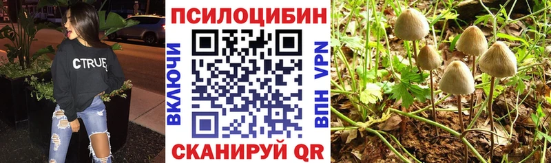 Галлюциногенные грибы мухоморы  Урень 