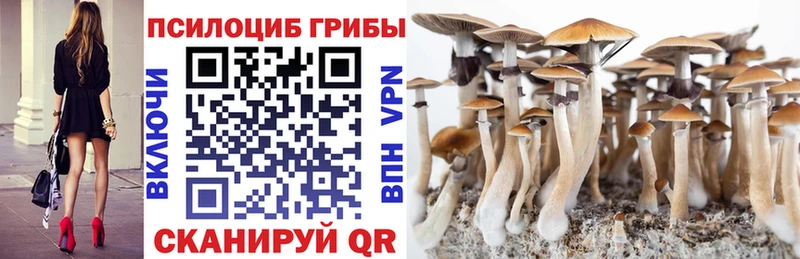Галлюциногенные грибы мицелий Урень